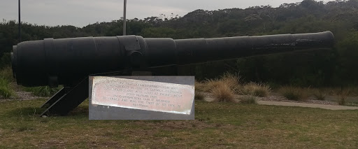Ten Inch "Disappearing" Gun